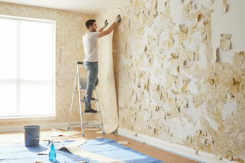 man on a stepladder peeling a large strip of old wallpaper, demonstrating how to remove it easily as part of a DIY guide.