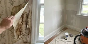 Is It Safe to Just Patch Peeling Wallpaper or Paint? (The Answer Depends on What’s Behind It)