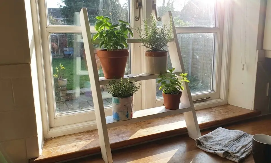 A small, white A-frame wooden ladder shelf sitting on a sunlit wooden windowsill, holding four herb plants including basil and rosemary in mixed terracotta and upcycled tin pots.