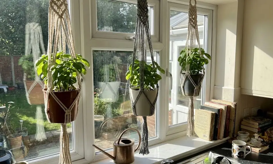 Three lush green basil plants suspended in a kitchen window using macrame hangers made from white and grey upcycled t-shirt fabric, positioned at staggered heights above a counter.