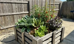 Best Plants for Pallet Raised Beds: Top 10 Veggies & Herbs for Maximum Yield