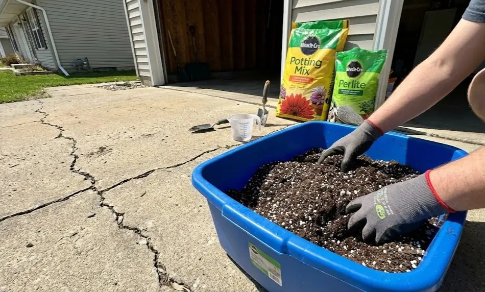 A gardener wearing gloves mixing a custom soil blend in a large blue plastic tub on a concrete driveway, incorporating extra white perlite into standard potting mix to improve aeration.