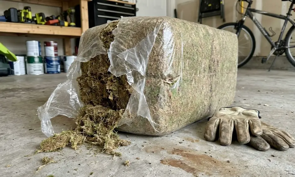 A large, compressed rectangular bale of sphagnum peat moss with the plastic packaging torn open, spilling dry, fibrous brown material onto a concrete garage floor next to a pair of leather work gloves.