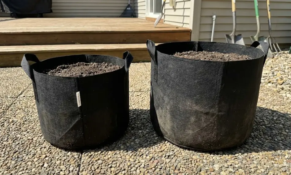 Two black fabric grow bags filled with potting soil sitting on a sunny patio, illustrating the size difference between a 5-gallon and a 7-gallon container.