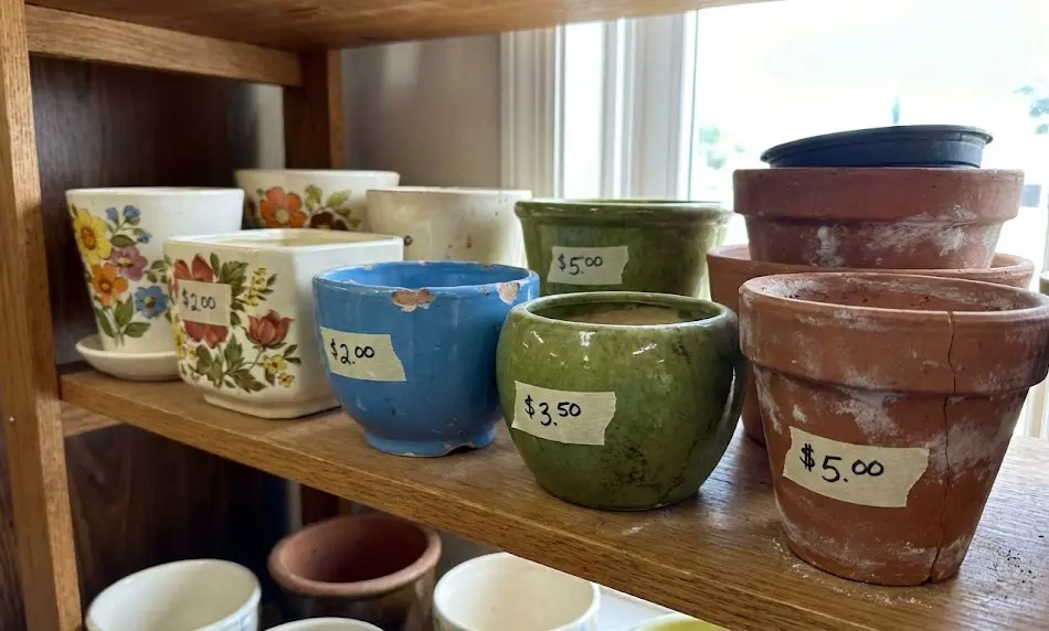 A wooden shelf at a thrift store displaying assorted used ceramic and terracotta plant pots with masking tape price tags ranging from $2.00 to $5.00.