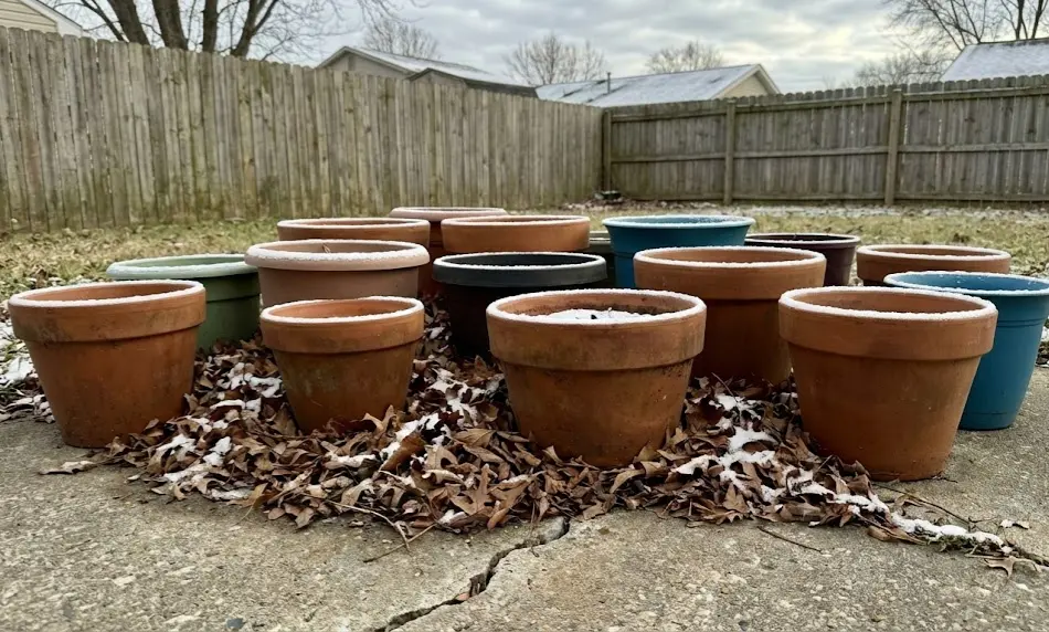 A cluster of terracotta and plastic plant pots sitting on a concrete patio in winter, featuring snow-dusted rims and fallen leaves gathered around the bases.