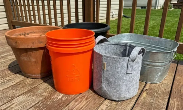 Safe Containers for Gardening: Avoid Toxins Now