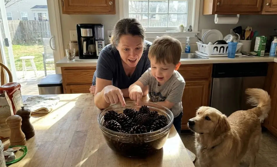 A bright kitchen table setup featuring a large bowl of pine cones soaking in water, a bottle of white vinegar, and a curious Golden Retriever sniffing near the table edge, illustrating a safe, oven-free environment.